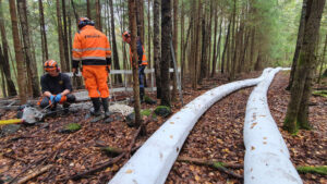 Overpumping i skogsområde
