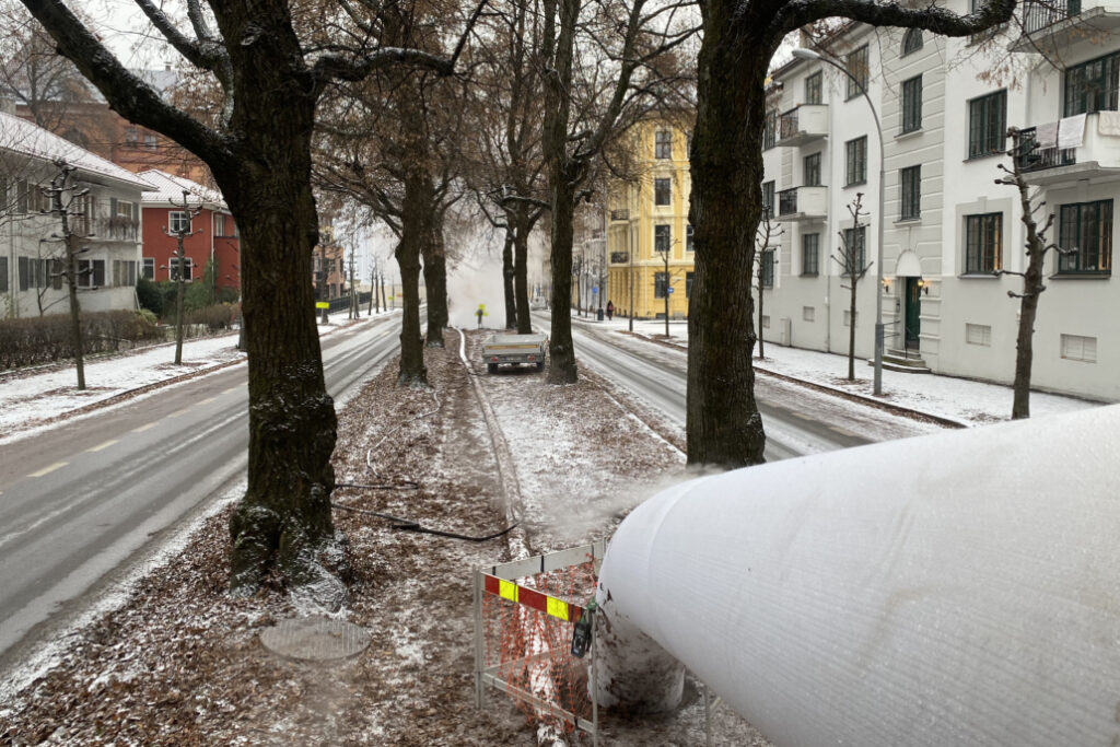 Avløpsrøret går rett under denne verneverdige alléen.
