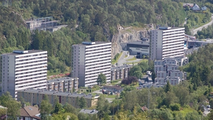 Lyderhorn Borettslag ble etablert i 1970-1971. Rørmaterialet i borettslaget besto av støpejern som var sterkt preget av tidens tann. Verst var tilstanden i grenrør og stammer i de tre høyblokkene som rommer 291 av totalt 507 boenhetene. Borettslaget består i tillegg av fire lavblokker og sju punkthus.